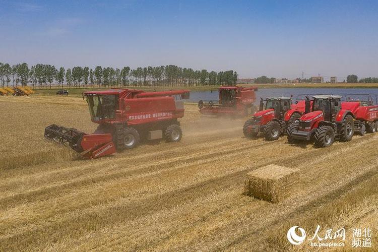 谷物种植专业合作社农机手分别驾驶小麦联合收割机和秸秆捡拾打捆机